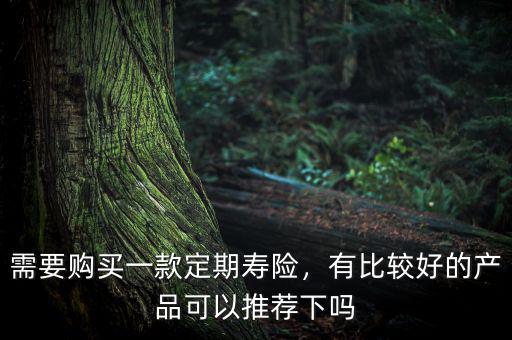 需要購(gòu)買一款定期壽險(xiǎn)，有比較好的產(chǎn)品可以推薦下嗎