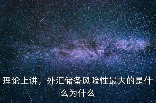 理論上講，外匯儲備風險性最大的是什么為什么