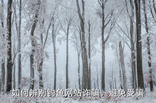 如何辨別釣魚網(wǎng)站詐騙，避免受騙