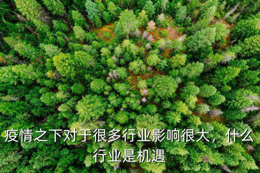 疫情之下對(duì)于很多行業(yè)影響很大，什么行業(yè)是機(jī)遇