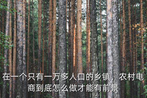 在一個只有一萬多人口的鄉(xiāng)鎮(zhèn)，農(nóng)村電商到底怎么做才能有前景