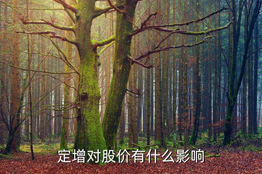 什么是定增項(xiàng)目,定增對股價有什么影響