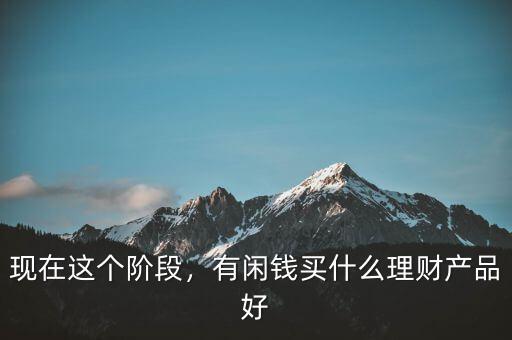 現(xiàn)在這個階段，有閑錢買什么理財產(chǎn)品好