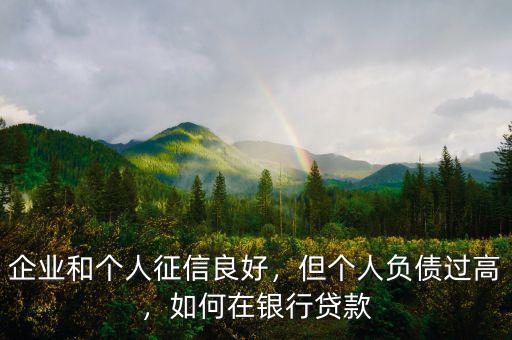 企業(yè)和個(gè)人征信良好，但個(gè)人負(fù)債過高，如何在銀行貸款