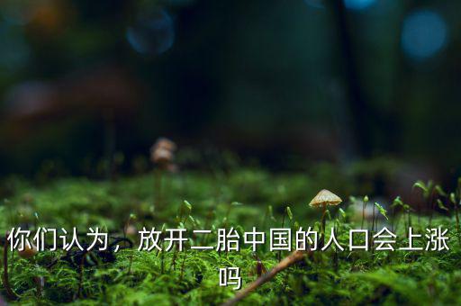 你們認(rèn)為，放開二胎中國的人口會(huì)上漲嗎