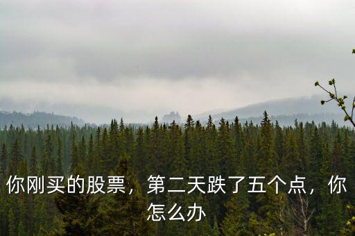 你剛買的股票，第二天跌了五個(gè)點(diǎn)，你怎么辦