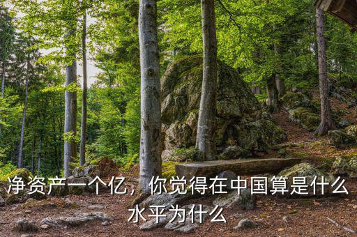 凈資產(chǎn)一個億，你覺得在中國算是什么水平為什么