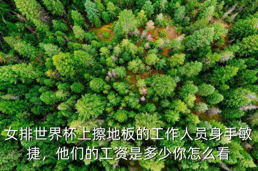 女排世界杯上擦地板的工作人員身手敏捷，他們的工資是多少你怎么看