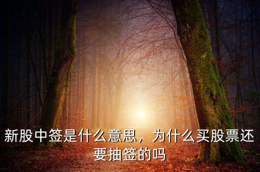 新股中簽是什么意思，為什么買(mǎi)股票還要抽簽的嗎