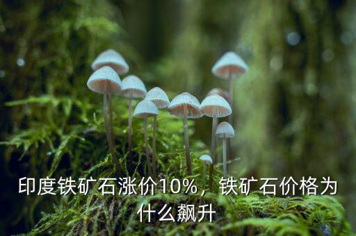 印度鐵礦石漲價10%，鐵礦石價格為什么飆升