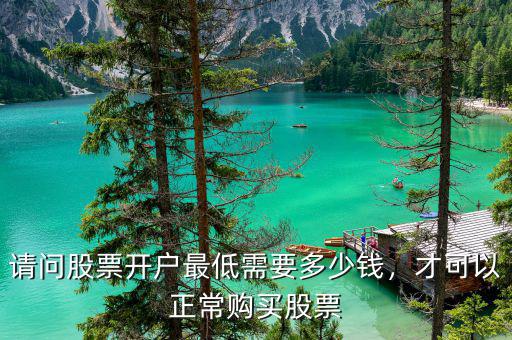 請問股票開戶最低需要多少錢，才可以正常購買股票