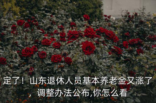 定了！山東退休人員基本養(yǎng)老金又漲了，調(diào)整辦法公布,你怎么看
