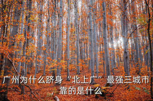 廣州為什么躋身“北上廣”最強三城市，靠的是什么