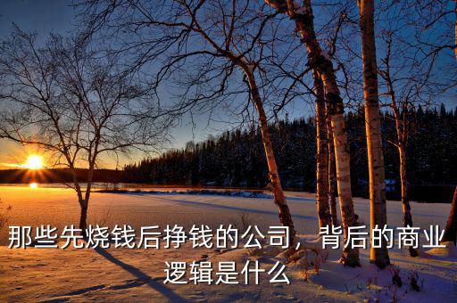 電商燒錢(qián)有什么好處,電商節(jié)對(duì)女性的好處有哪些