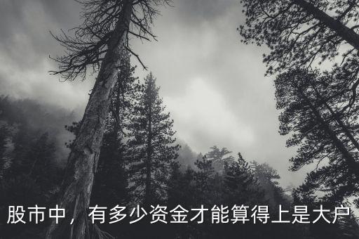 股市中，有多少資金才能算得上是大戶