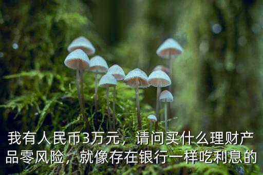 我有人民幣3萬(wàn)元，請(qǐng)問(wèn)買什么理財(cái)產(chǎn)品零風(fēng)險(xiǎn)，就像存在銀行一樣吃利息的