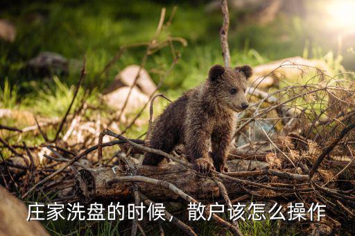 莊家洗盤(pán)的時(shí)候，散戶該怎么操作
