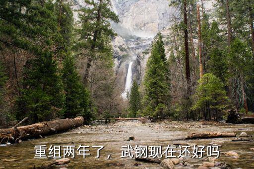 重組兩年了，武鋼現(xiàn)在還好嗎