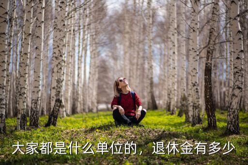 大家都是什么單位的，退休金有多少