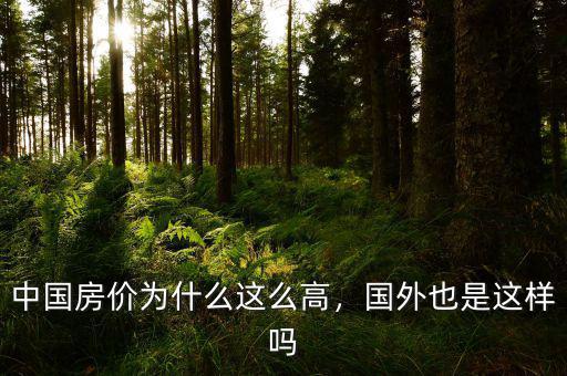 中國房價為什么這么高，國外也是這樣嗎