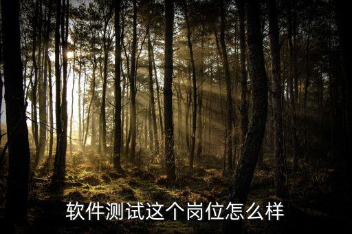 東華測試工作怎么樣,軟件測試這個(gè)崗位怎么樣