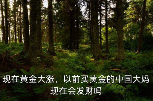 現(xiàn)在黃金大漲，以前買黃金的中國大媽現(xiàn)在會(huì)發(fā)財(cái)嗎