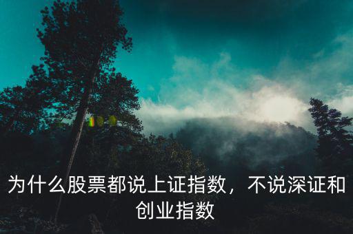 為什么股票都說上證指數(shù)，不說深證和創(chuàng)業(yè)指數(shù)