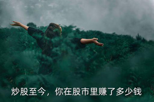 炒股至今，你在股市里賺了多少錢