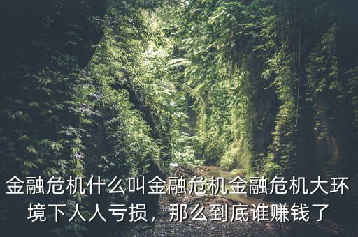 金融危機(jī)什么叫金融危機(jī)金融危機(jī)大環(huán)境下人人虧損，那么到底誰賺錢了