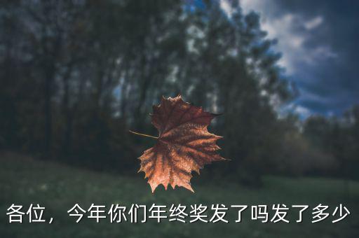 各位，今年你們年終獎(jiǎng)發(fā)了嗎發(fā)了多少