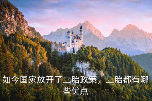 如今國(guó)家放開了二胎政策，二胎都有哪些優(yōu)點(diǎn)