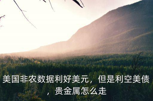 美國非農數(shù)據(jù)利好美元，但是利空美債，貴金屬怎么走