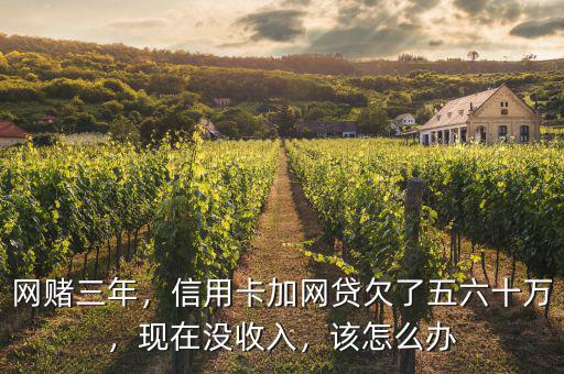 網(wǎng)賭三年，信用卡加網(wǎng)貸欠了五六十萬，現(xiàn)在沒收入，該怎么辦