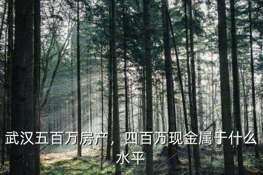 武漢五百萬房產(chǎn)，四百萬現(xiàn)金屬于什么水平