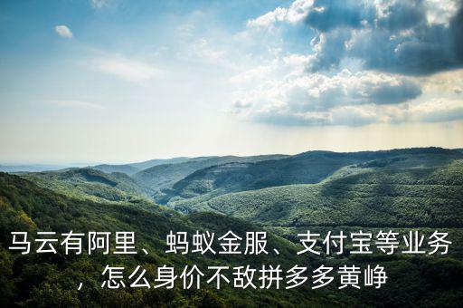 馬云有阿里、螞蟻金服、支付寶等業(yè)務(wù)，怎么身價(jià)不敵拼多多黃崢