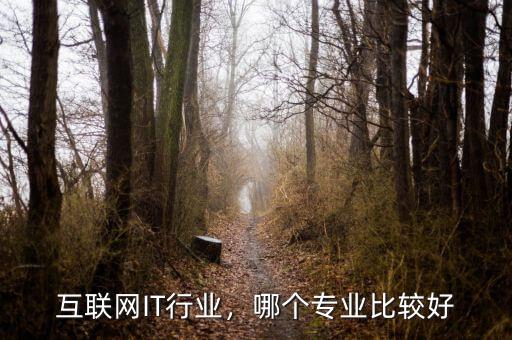 互聯網什么專業(yè),學互聯網技術什么專業(yè)好點