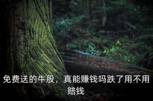 免費送的牛股，真能賺錢嗎跌了用不用賠錢