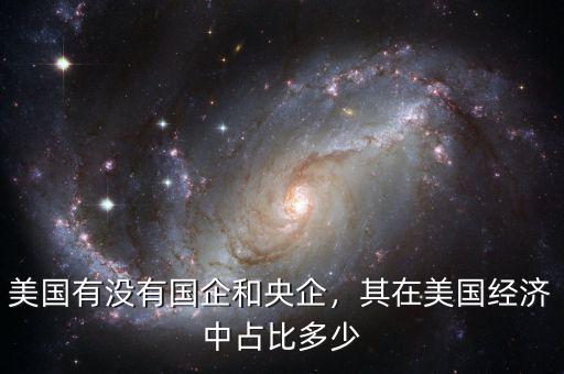 美國有沒有國企和央企，其在美國經濟中占比多少