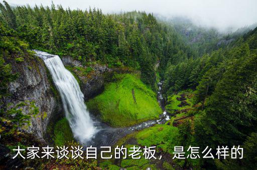 大家來(lái)談?wù)勛约旱睦习?，是怎么樣? class=