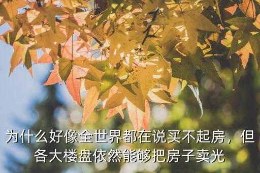 為什么好像全世界都在說(shuō)買(mǎi)不起房，但各大樓盤(pán)依然能夠把房子賣(mài)光