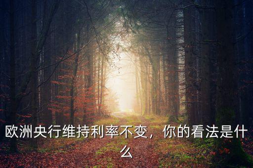 歐洲央行維持利率不變，你的看法是什么