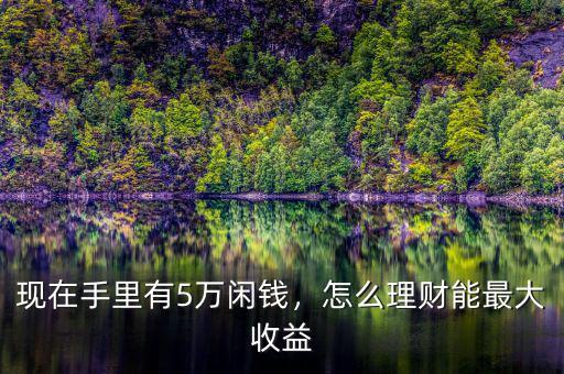 現(xiàn)在手里有5萬(wàn)閑錢，怎么理財(cái)能最大收益