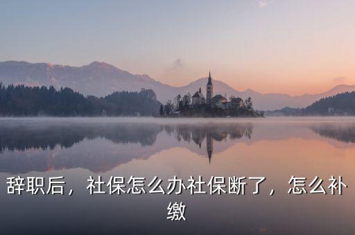 辭職后，社保怎么辦社保斷了，怎么補(bǔ)繳