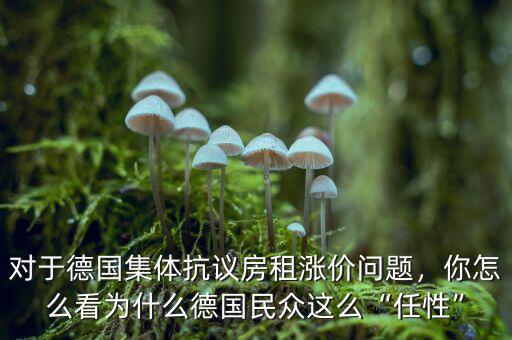 對于德國集體抗議房租漲價問題，你怎么看為什么德國民眾這么“任性”
