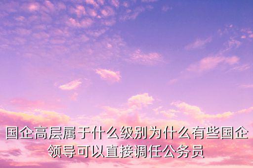 國企高層屬于什么級別為什么有些國企領導可以直接調任公務員
