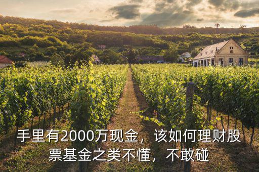 手里有2000萬現(xiàn)金，該如何理財(cái)股票基金之類不懂，不敢碰