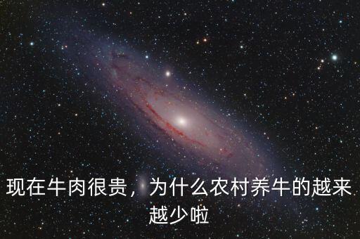 現(xiàn)在牛肉很貴，為什么農(nóng)村養(yǎng)牛的越來越少啦