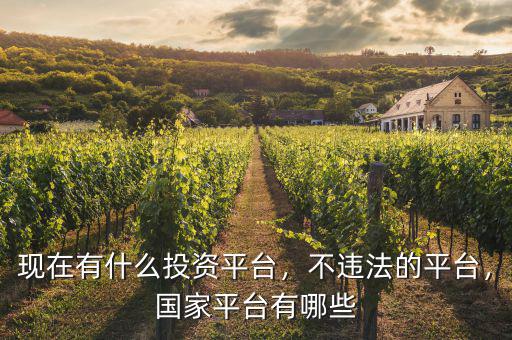 現(xiàn)在有什么投資平臺，不違法的平臺，國家平臺有哪些