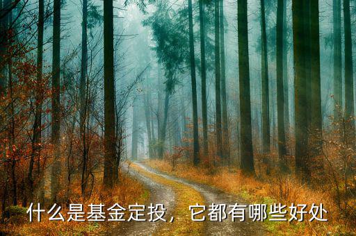 什么是基金定投，它都有哪些好處