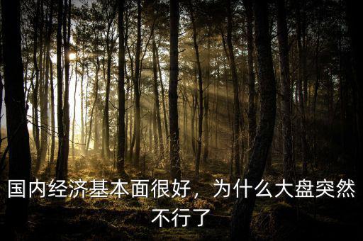 國內(nèi)經(jīng)濟(jì)基本面很好，為什么大盤突然不行了